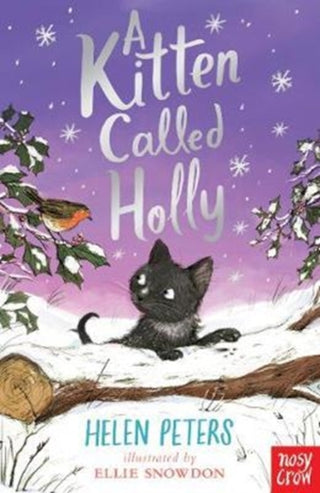 Cover image for 9780857639639 - A Kitten Called Holly