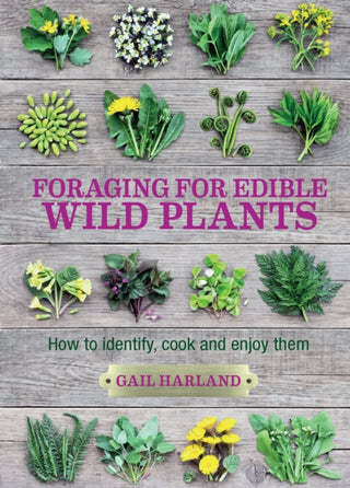 Supplemental image for 9780857845511 - Foraging for Edible Wild Plants
