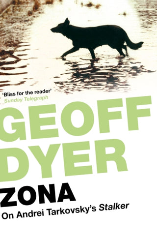 Cover image for 9780857861672 - Zona