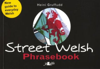 Cover image for 9780862439026 - Street Welsh - Phrasebook
