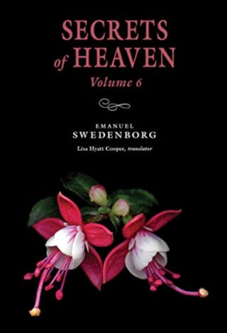 Cover image for 9780877854227 - Secrets of Heaven Volume 6