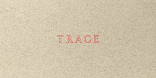 Cover image for 9780892075652 - Jenny Holzer: Trace