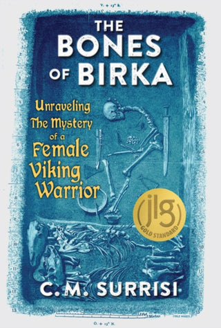 Cover image for 9780897332606 - The Bones of Birka