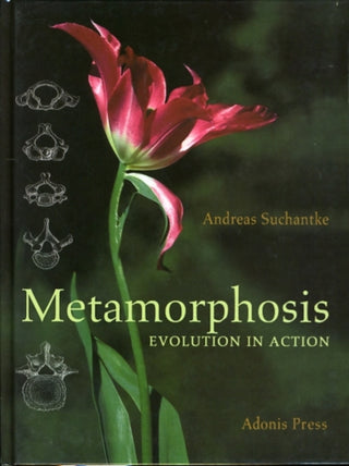 Cover image for 9780932776396 - Metamorphosis