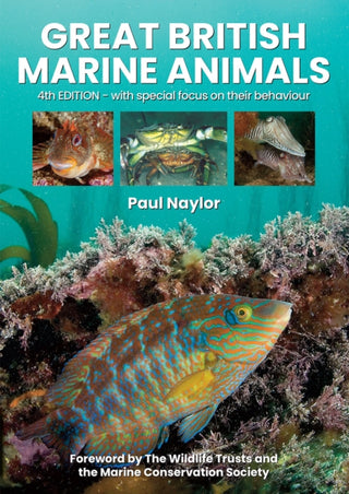 Supplemental image for 9780952283171 - Great British Marine Animals