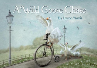 Cover image for 9780993490460 - A Wild Goose Chase