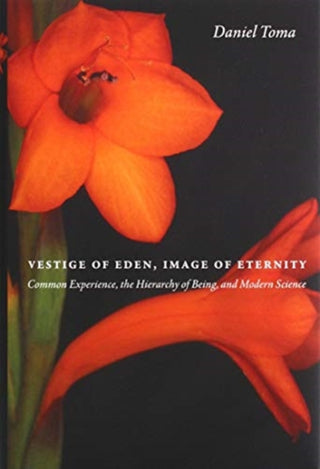 Cover image for 9780999513477 - Vestige of Eden, Image of Eternity