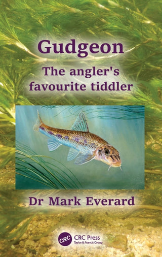 Supplemental image for 9781032317274 - Gudgeon