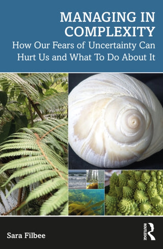 Supplemental image for 9781032334011 - Managing in Complexity