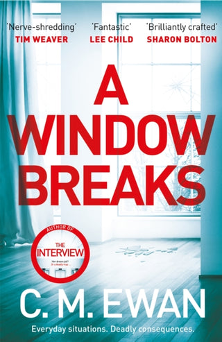 Cover image for 9781035002351 - A Window Breaks
