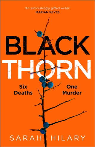 Cover image for 9781035003884 - Black Thorn