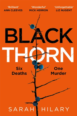 Cover image for 9781035004317 - Black Thorn