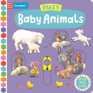 Cover image for 9781035004706 - Busy Baby Animals
