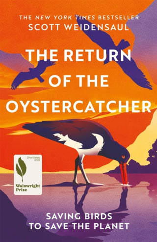 Cover image for 9781035016518 - The Return of the Oystercatcher