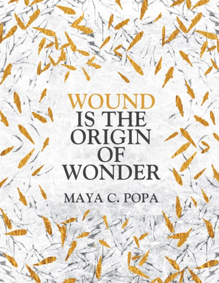 Cover image for 9781035017386 - Wound is the Origin of Wonder