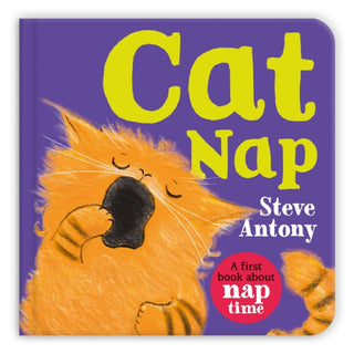 Cover image for 9781035029037 - Cat Nap