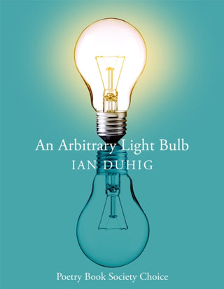 Cover image for 9781035033201 - An Arbitrary Light Bulb
