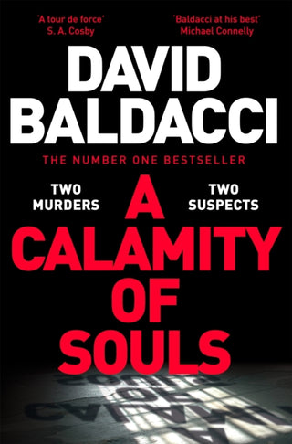 Supplemental image for 9781035035588 - A Calamity of Souls