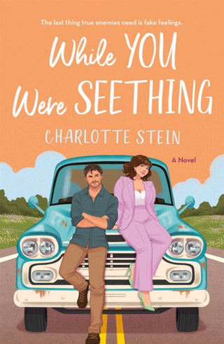 Cover image for 9781035038190 - While You Were Seething