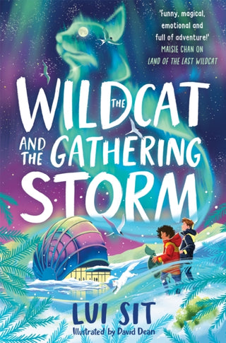 Cover image for 9781035040346 - The Wildcat and the Gathering Storm