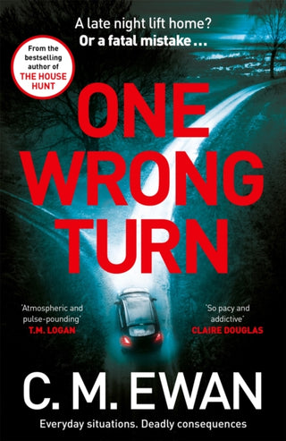 Cover image for 9781035042944 - One Wrong Turn