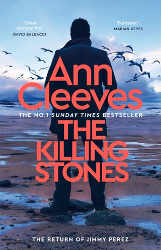 Cover image for 9781035043095 - The Killing Stones