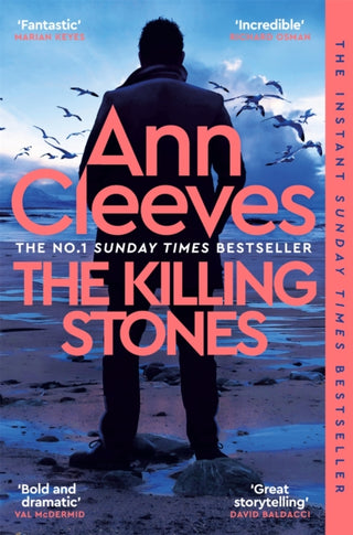 Cover image for 9781035043170 - The Killing Stones