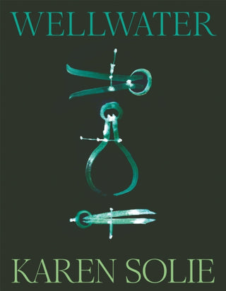 Cover image for 9781035048182 - Wellwater
