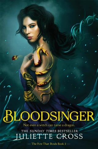 Cover image for 9781035052493 - Bloodsinger