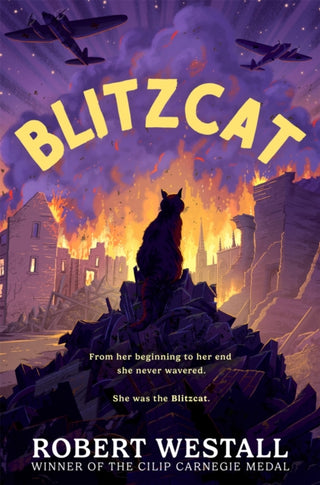 Cover image for 9781035058334 - Blitzcat