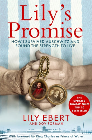 Cover image for 9781035059997 - Lily's Promise