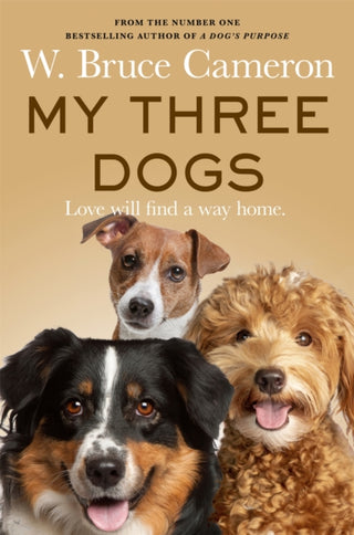 Cover image for 9781035063208 - My Three Dogs