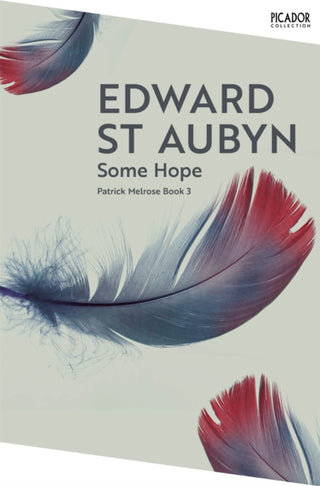 Supplemental image for 9781035063574 - Some Hope