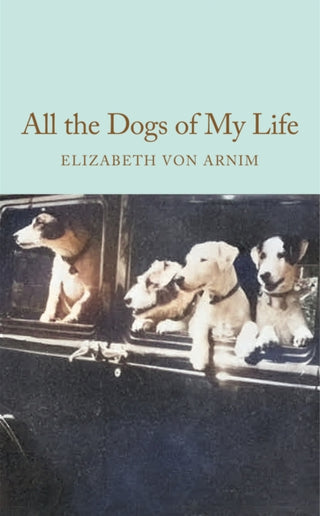 Cover image for 9781035064205 - All the Dogs of My Life