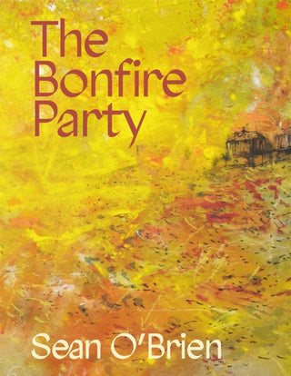 Cover image for 9781035064908 - The Bonfire Party