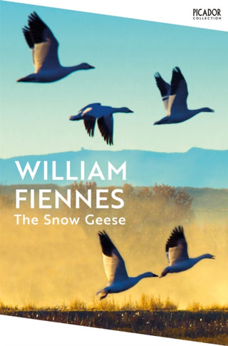 Cover image for 9781035065233 - The Snow Geese