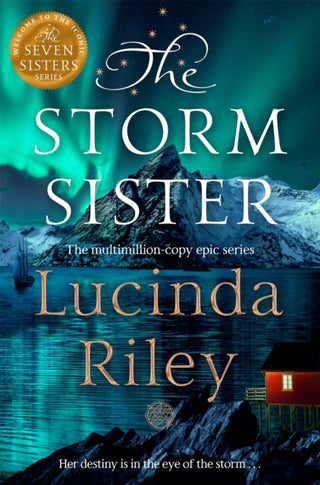 Cover image for 9781035066940 - The Storm Sister