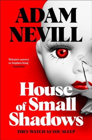 Cover image for 9781035068586 - House of Small Shadows