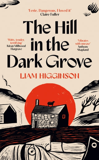 Cover image for 9781035069422 - The Hill in the Dark Grove