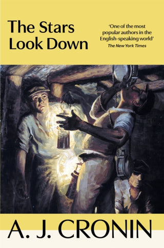 Cover image for 9781035069514 - The Stars Look Down