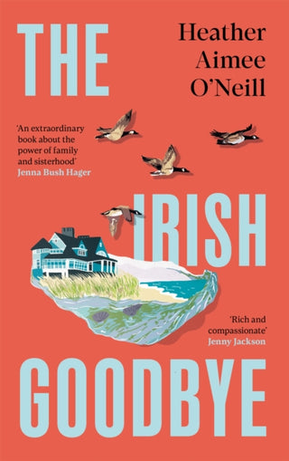 Cover image for 9781035074563 - The Irish Goodbye