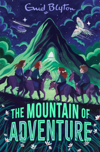 Cover image for 9781035075560 - The Mountain of Adventure