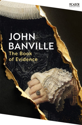 Cover image for 9781035076796 - The Book of Evidence