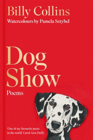 Cover image for 9781035087471 - Dog Show