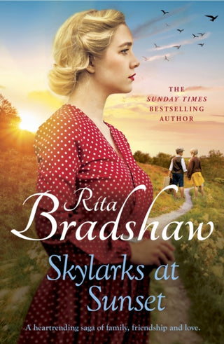 Supplemental image for 9781035403127 - Skylarks At Sunset