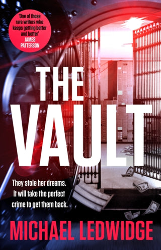 Cover image for 9781035404308 - The Vault