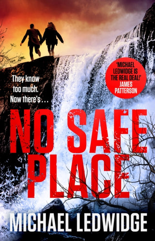 Cover image for 9781035404384 - No Safe Place