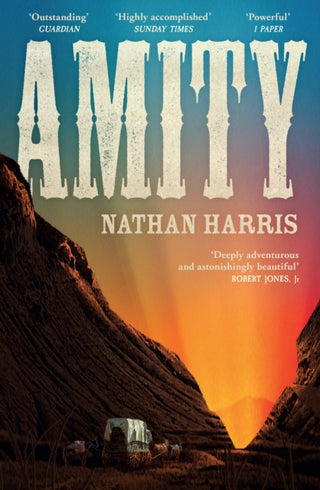 Cover image for 9781035404698 - AMITY