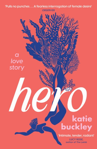 Cover image for 9781035413119 - Hero