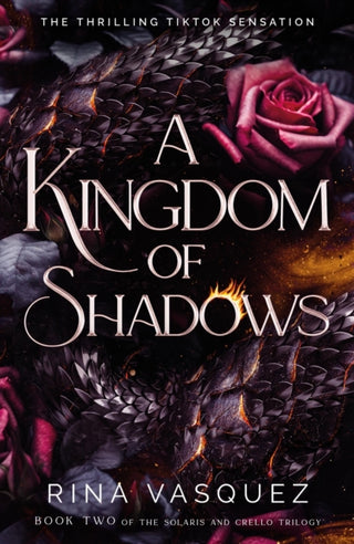 Cover image for 9781035414383 - A Kingdom of Shadows